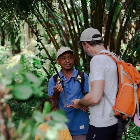 Ambow Homestay Jungle Trekking & Village Tour Bukit Lawang Exteriér fotografie