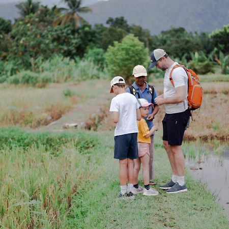 Ambow Homestay Jungle Trekking & Village Tour Bukit Lawang Exteriér fotografie