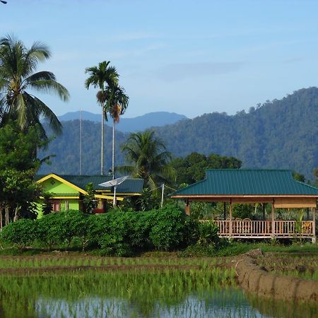 Ambow Homestay Jungle Trekking & Village Tour Bukit Lawang Exteriér fotografie