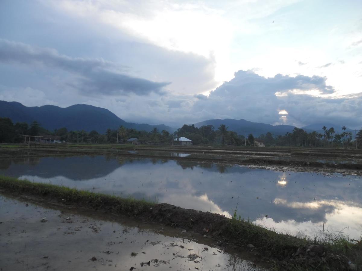 Ambow Homestay Jungle Trekking & Village Tour Bukit Lawang Exteriér fotografie