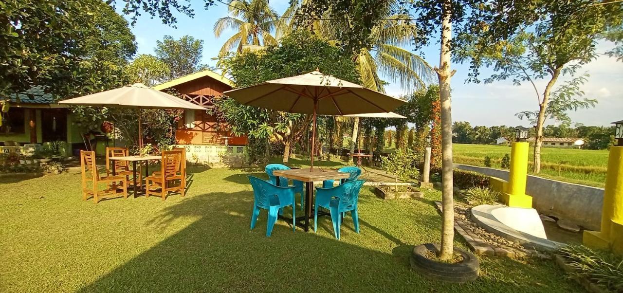 Ambow Homestay Jungle Trekking & Village Tour Bukit Lawang Exteriér fotografie