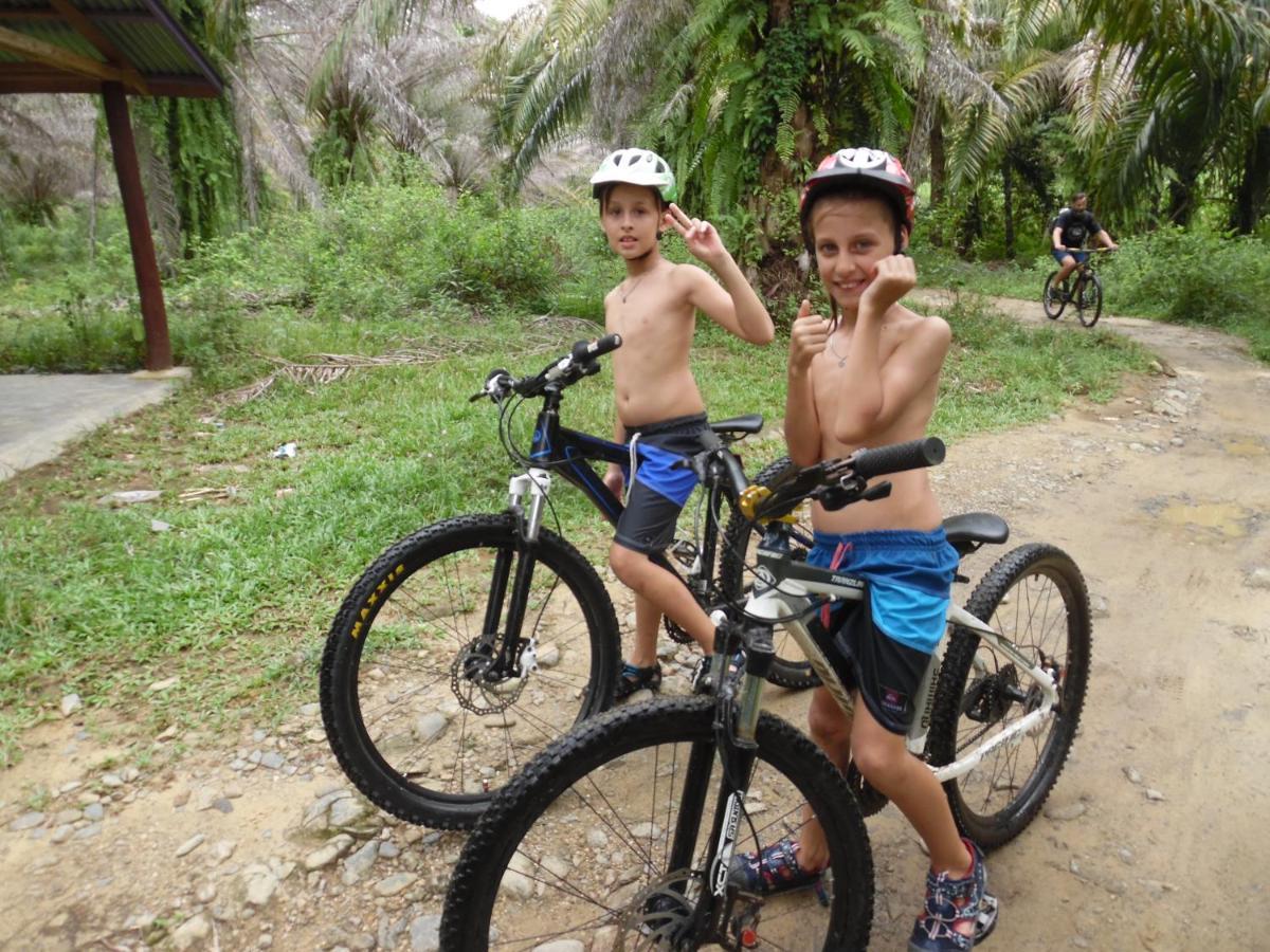 Ambow Homestay Jungle Trekking & Village Tour Bukit Lawang Exteriér fotografie