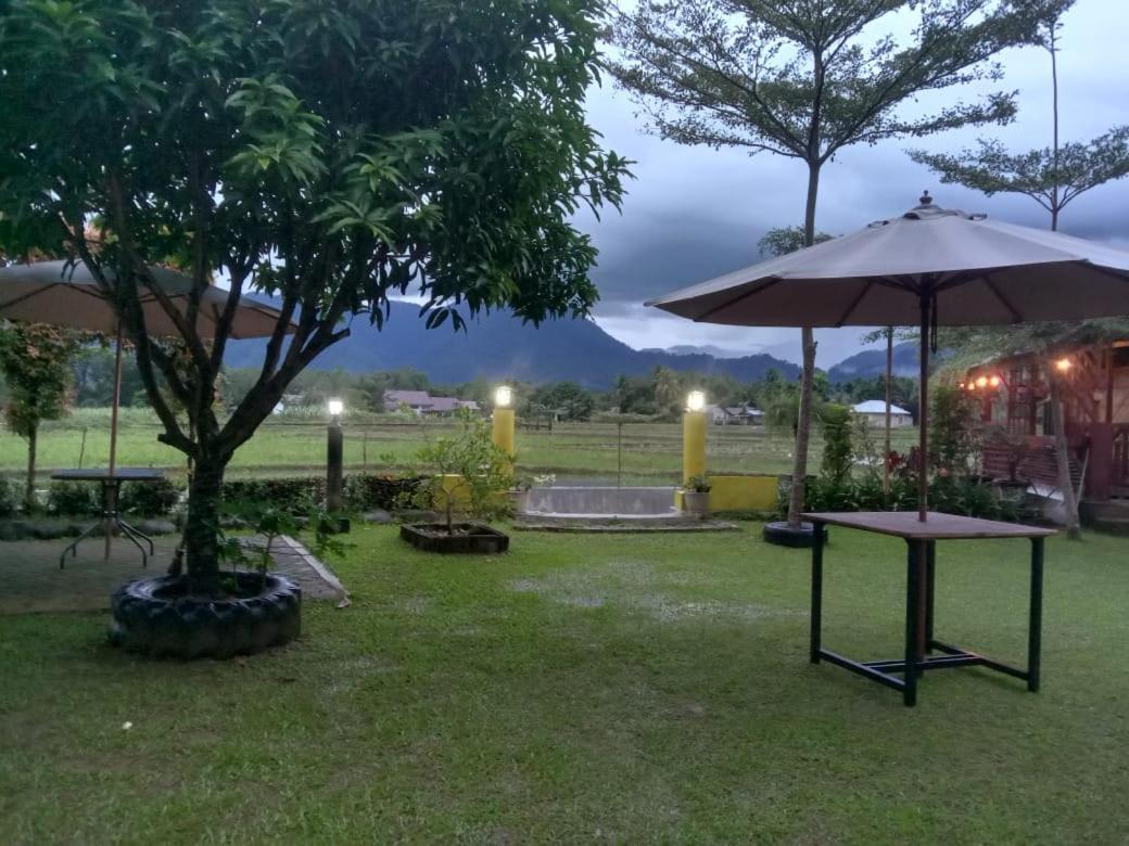 Ambow Homestay Jungle Trekking & Village Tour Bukit Lawang Exteriér fotografie