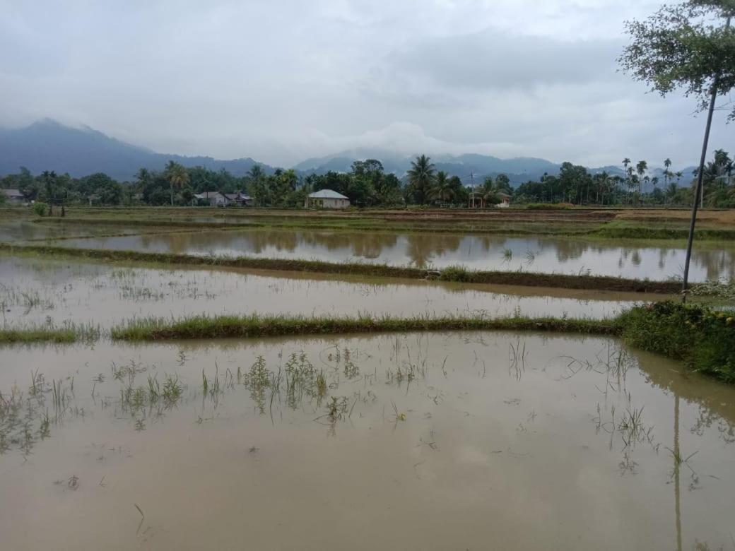 Ambow Homestay Jungle Trekking & Village Tour Bukit Lawang Exteriér fotografie