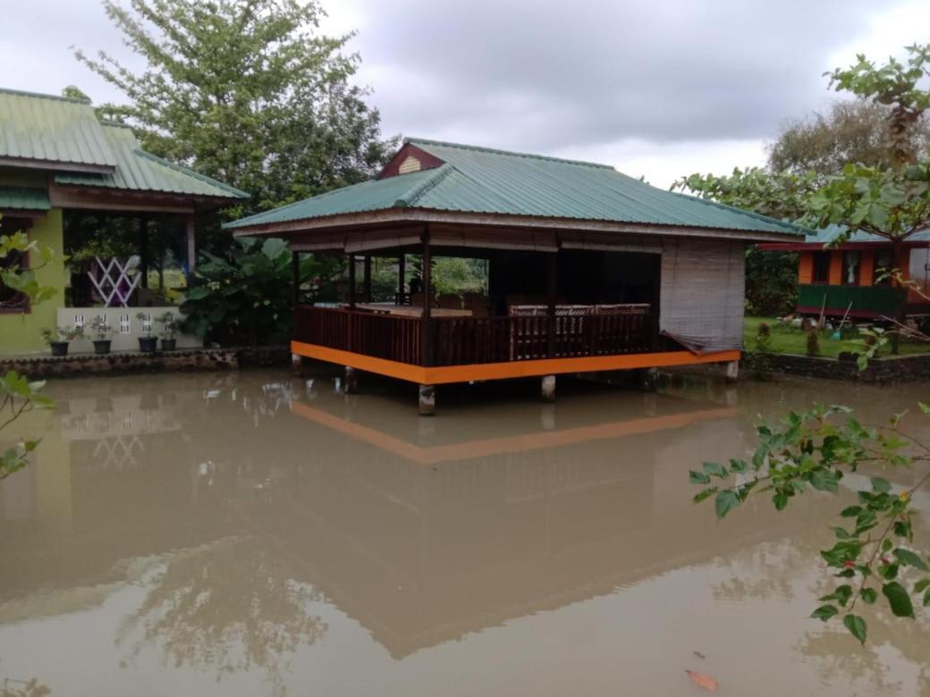 Ambow Homestay Jungle Trekking & Village Tour Bukit Lawang Exteriér fotografie