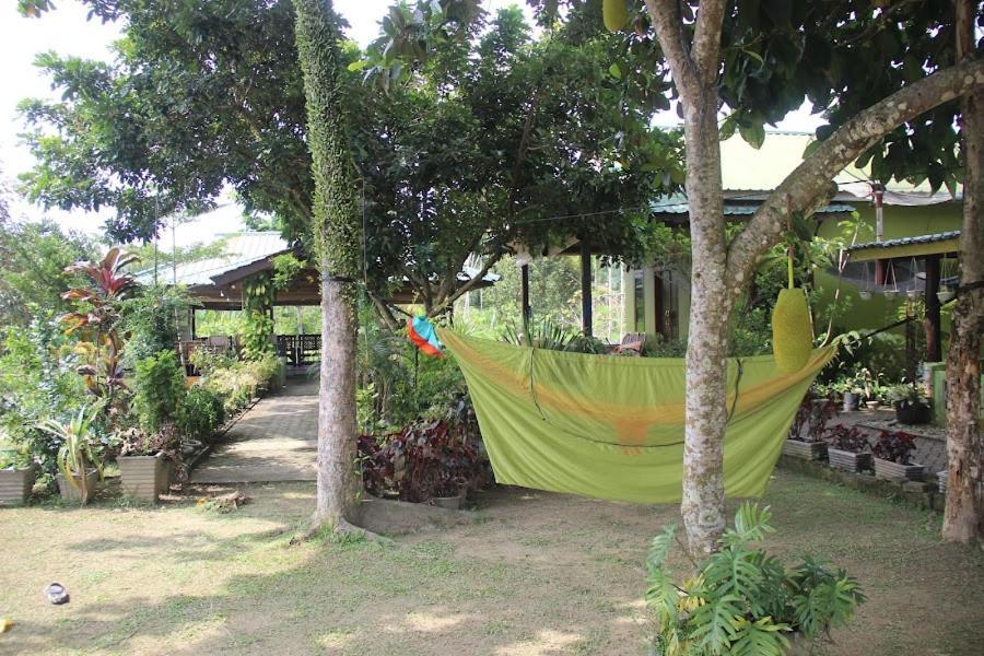 Ambow Homestay Jungle Trekking & Village Tour Bukit Lawang Exteriér fotografie