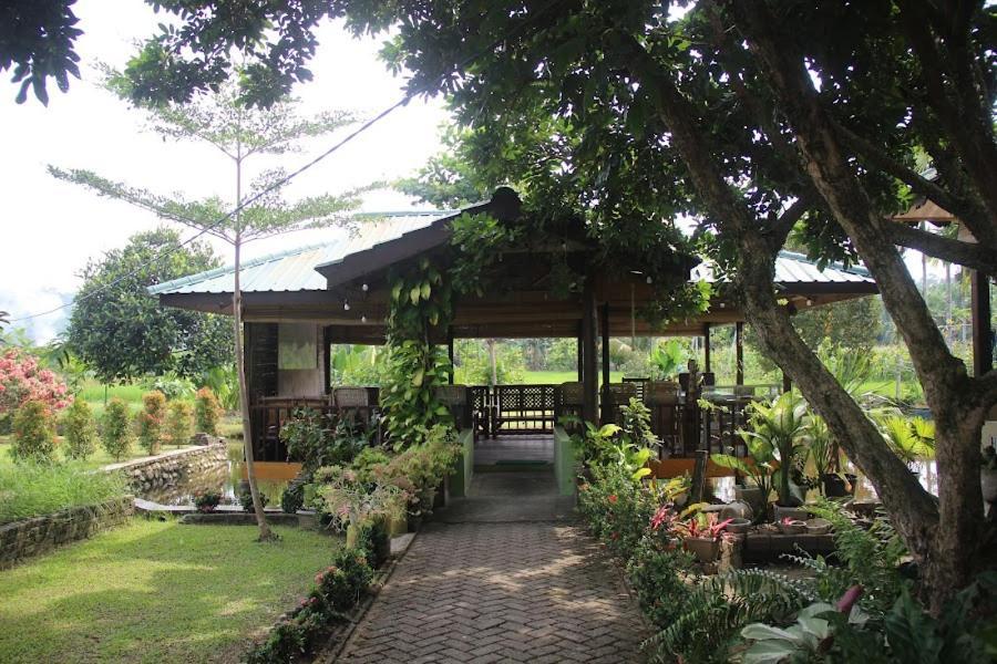 Ambow Homestay Jungle Trekking & Village Tour Bukit Lawang Exteriér fotografie