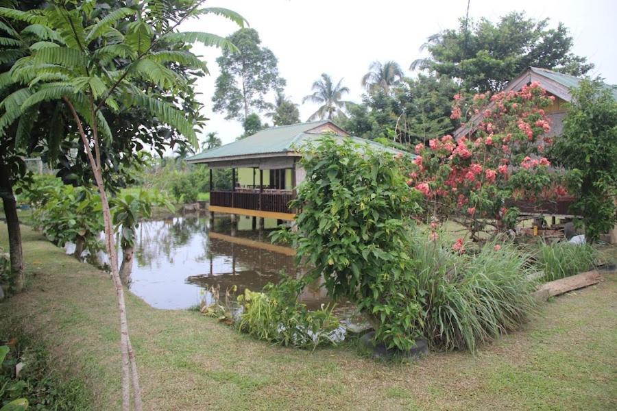 Ambow Homestay Jungle Trekking & Village Tour Bukit Lawang Exteriér fotografie