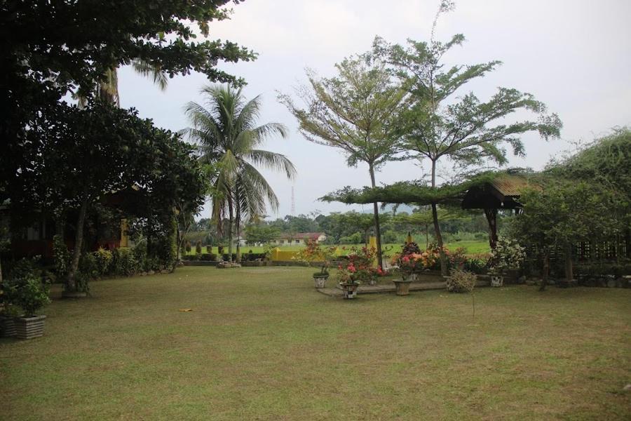 Ambow Homestay Jungle Trekking & Village Tour Bukit Lawang Exteriér fotografie