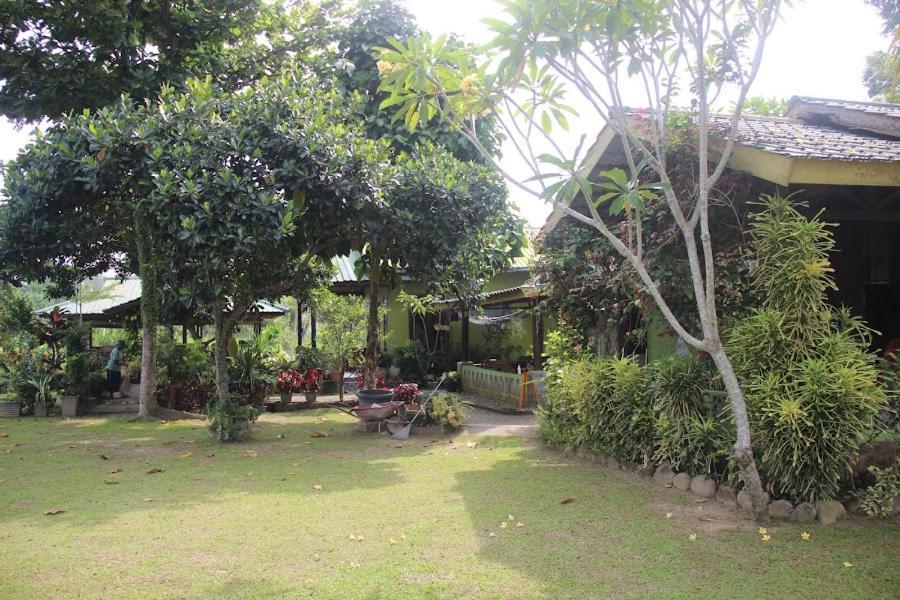 Ambow Homestay Jungle Trekking & Village Tour Bukit Lawang Exteriér fotografie