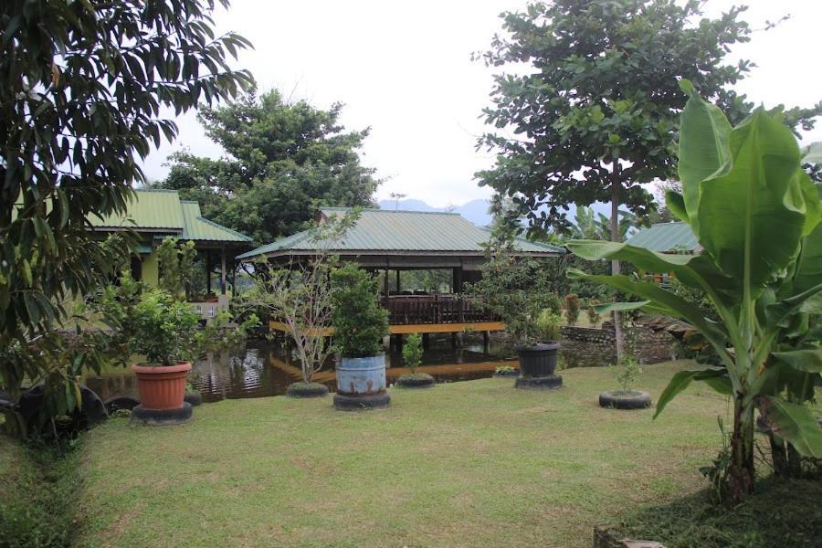 Ambow Homestay Jungle Trekking & Village Tour Bukit Lawang Exteriér fotografie