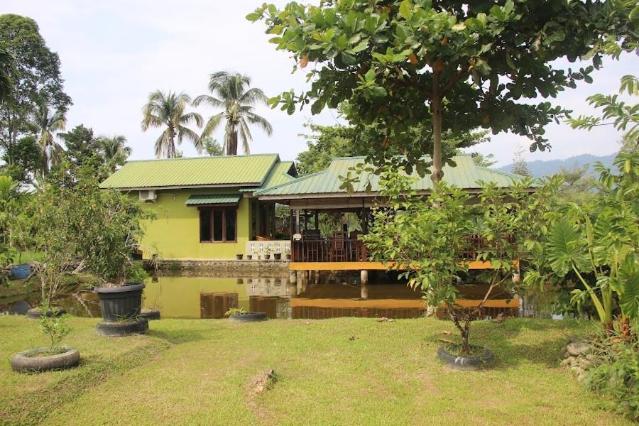 Ambow Homestay Jungle Trekking & Village Tour Bukit Lawang Exteriér fotografie