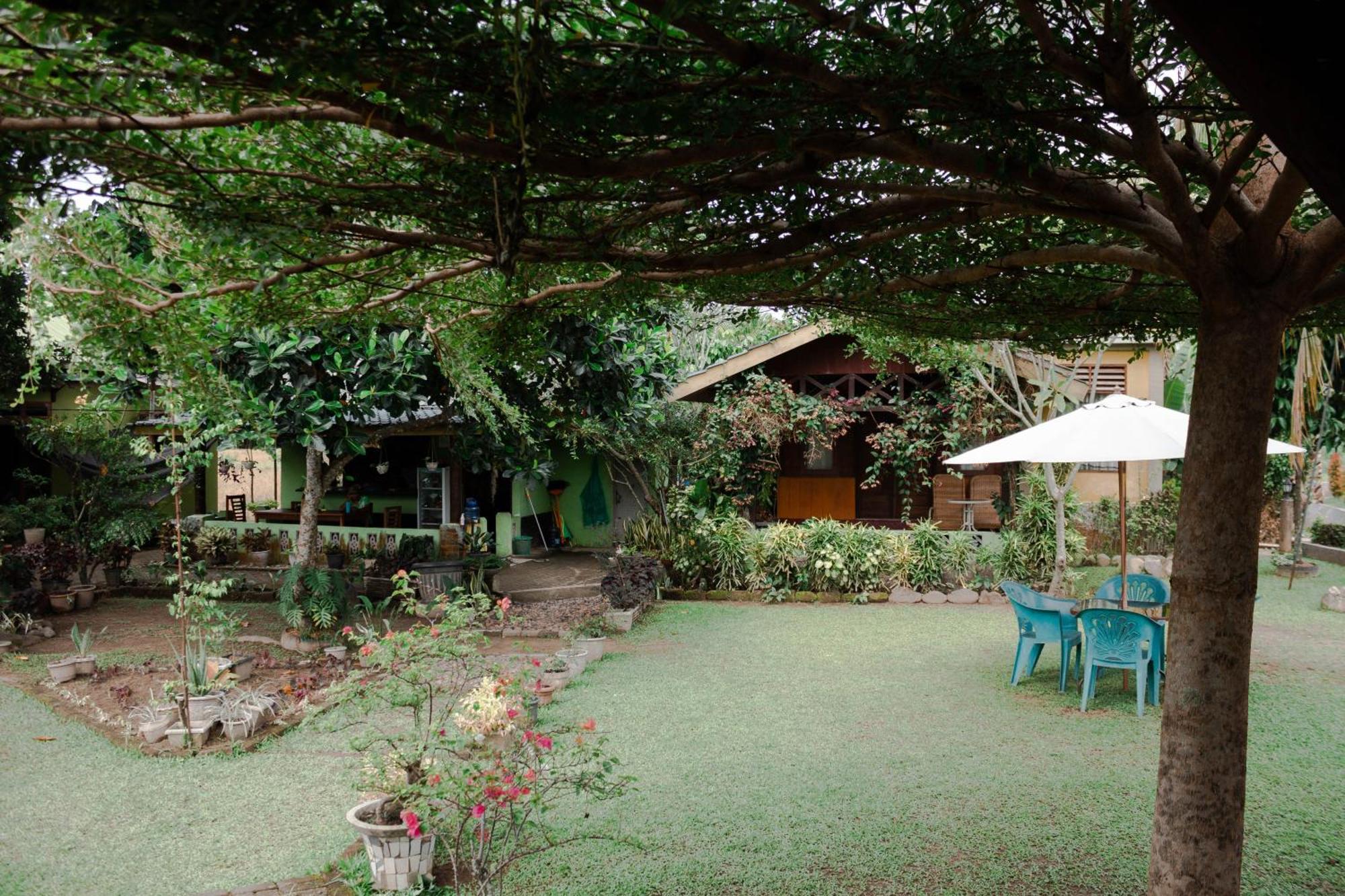 Ambow Homestay Jungle Trekking & Village Tour Bukit Lawang Exteriér fotografie