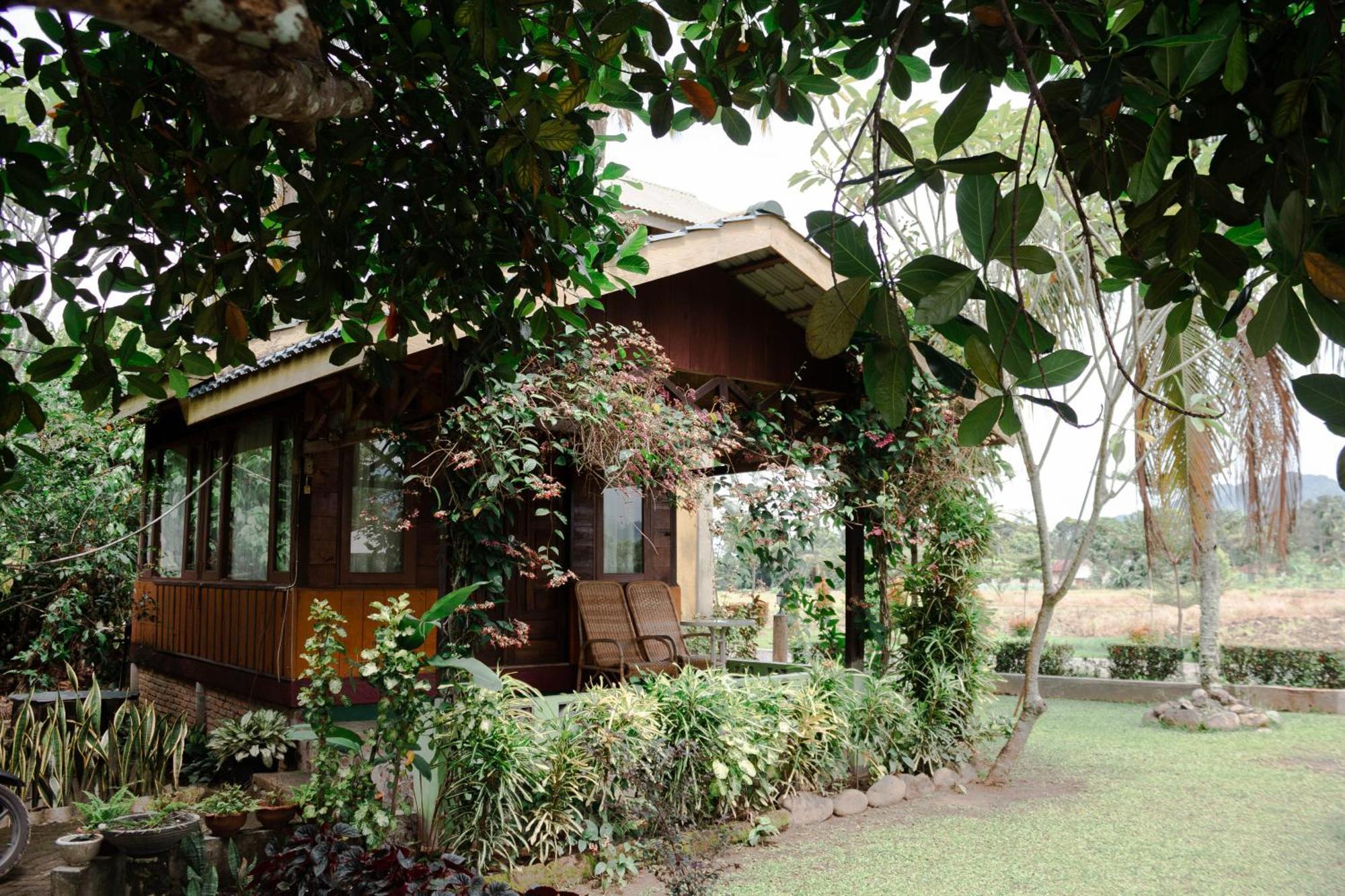 Ambow Homestay Jungle Trekking & Village Tour Bukit Lawang Exteriér fotografie