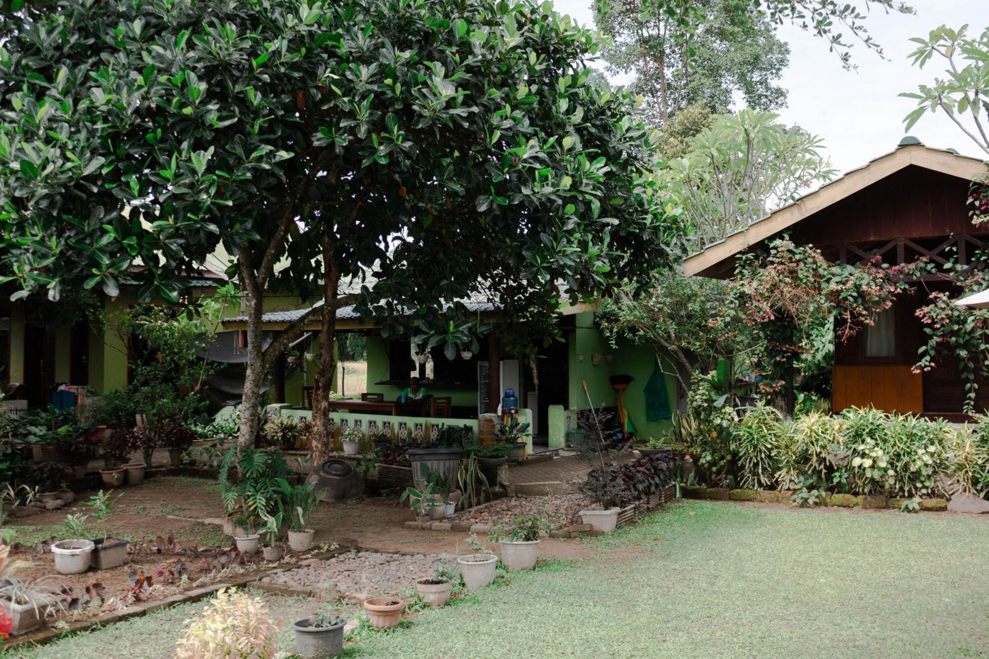 Ambow Homestay Jungle Trekking & Village Tour Bukit Lawang Exteriér fotografie