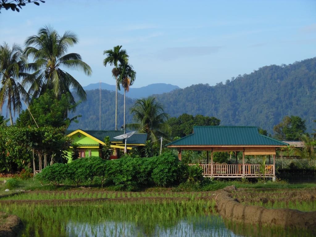 Ambow Homestay Jungle Trekking & Village Tour Bukit Lawang Exteriér fotografie