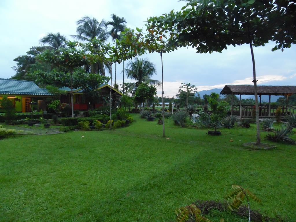 Ambow Homestay Jungle Trekking & Village Tour Bukit Lawang Exteriér fotografie