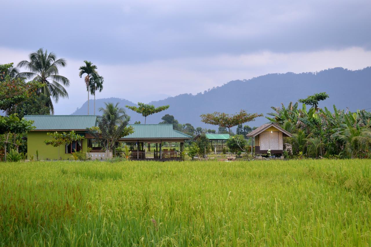 Ambow Homestay Jungle Trekking & Village Tour Bukit Lawang Exteriér fotografie