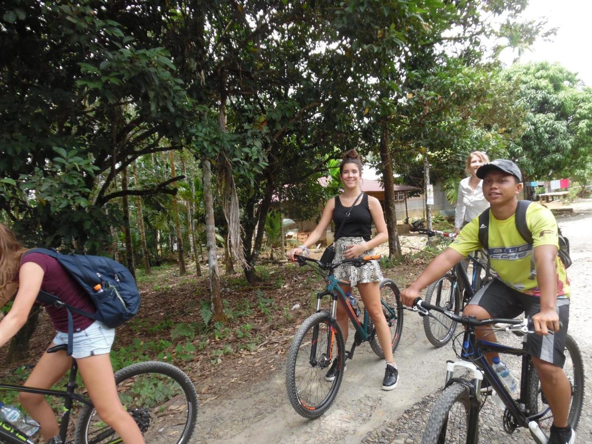 Ambow Homestay Jungle Trekking & Village Tour Bukit Lawang Exteriér fotografie
