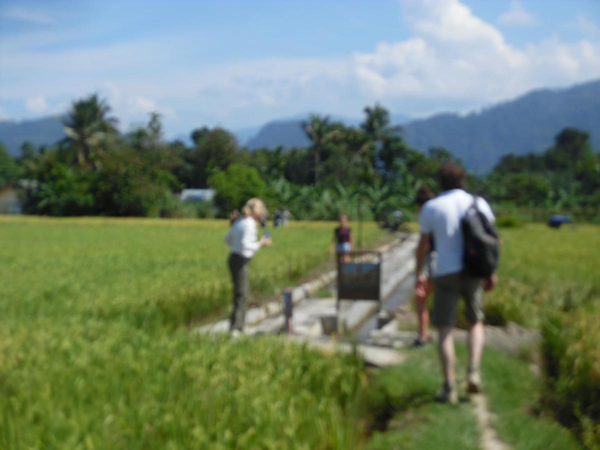 Ambow Homestay Jungle Trekking & Village Tour Bukit Lawang Exteriér fotografie