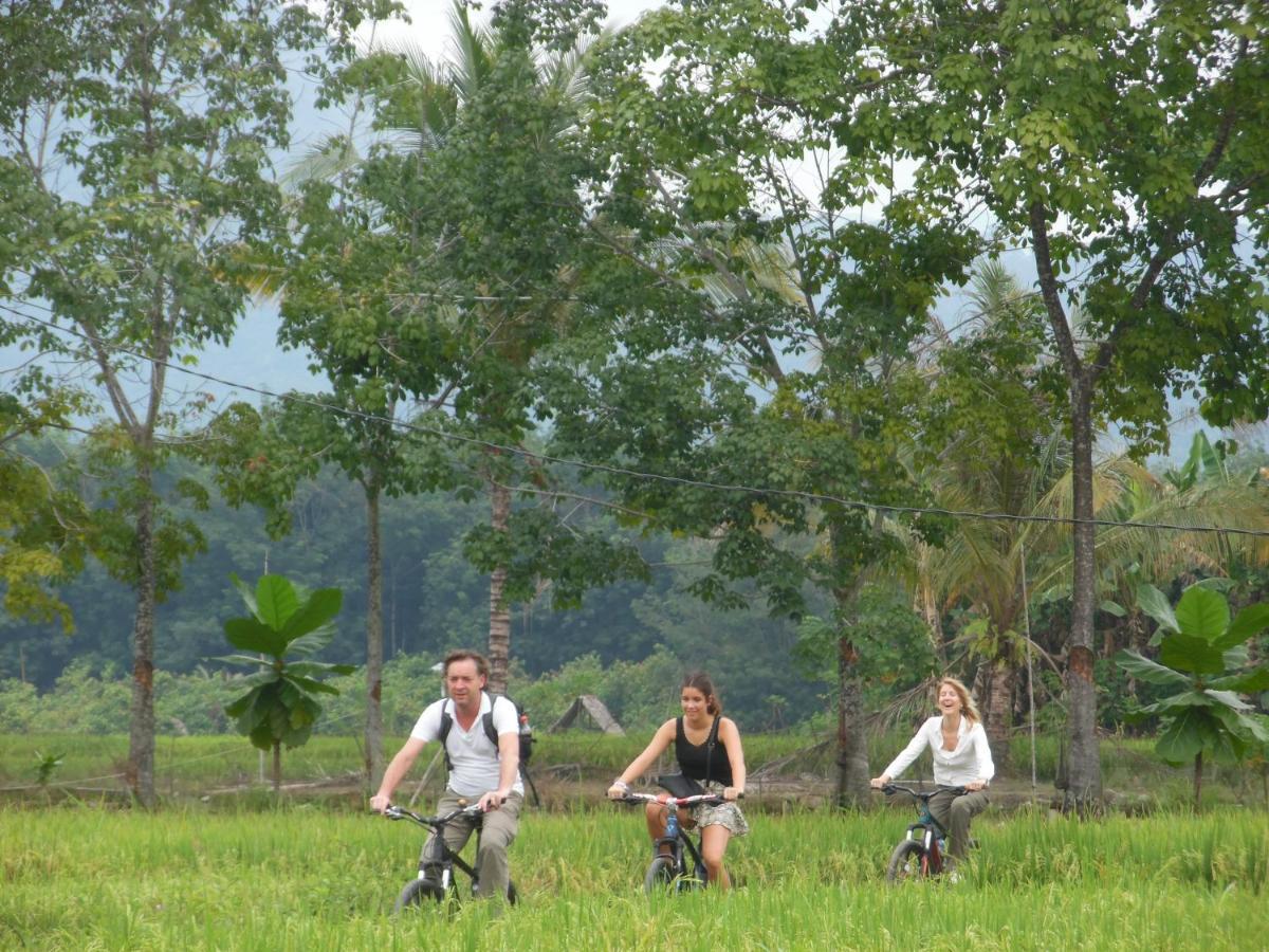 Ambow Homestay Jungle Trekking & Village Tour Bukit Lawang Exteriér fotografie