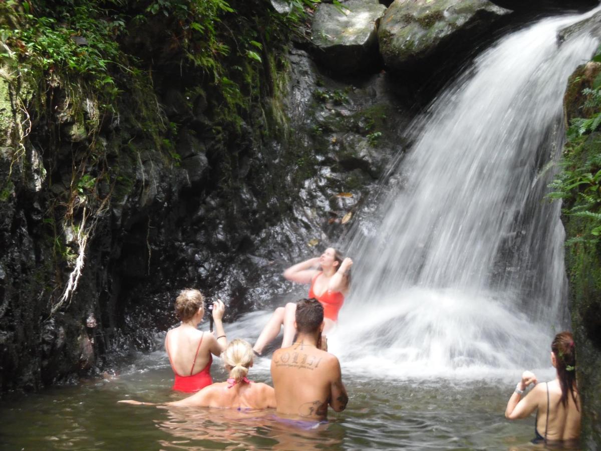 Ambow Homestay Jungle Trekking & Village Tour Bukit Lawang Exteriér fotografie