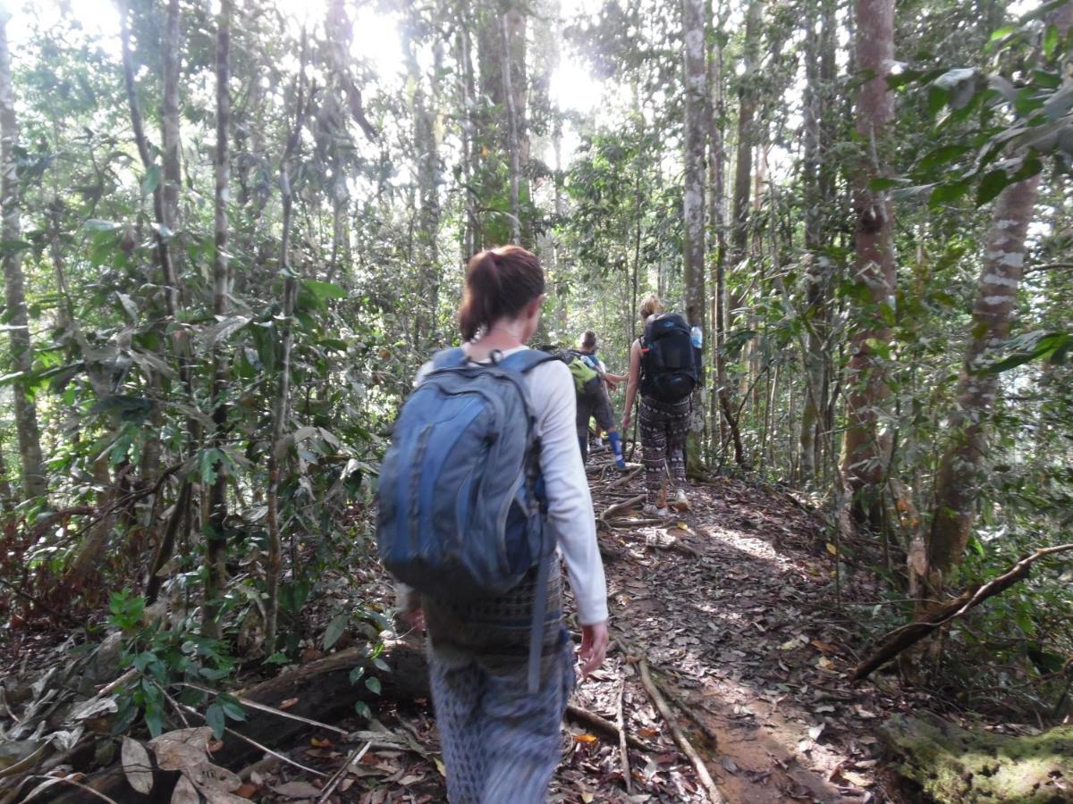Ambow Homestay Jungle Trekking & Village Tour Bukit Lawang Exteriér fotografie