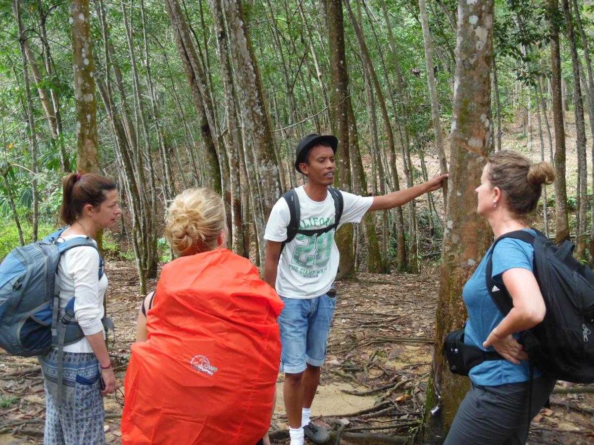 Ambow Homestay Jungle Trekking & Village Tour Bukit Lawang Exteriér fotografie