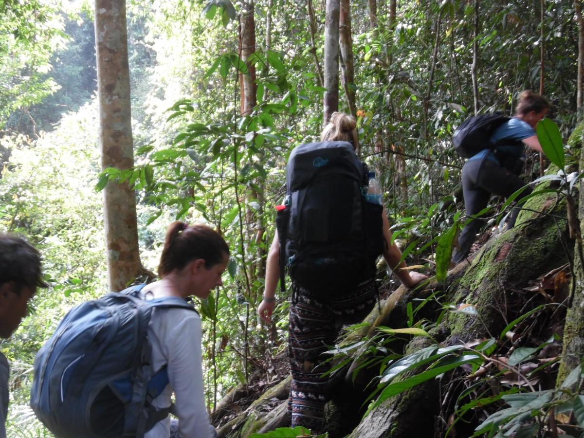 Ambow Homestay Jungle Trekking & Village Tour Bukit Lawang Exteriér fotografie