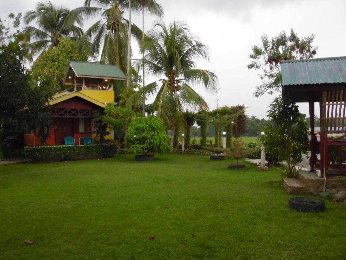 Ambow Homestay Jungle Trekking & Village Tour Bukit Lawang Exteriér fotografie