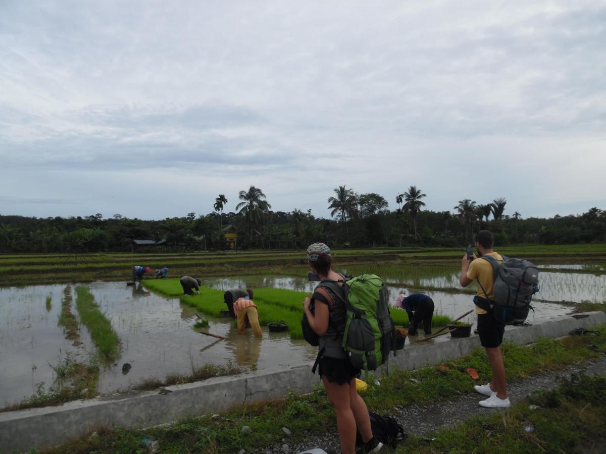 Ambow Homestay Jungle Trekking & Village Tour Bukit Lawang Exteriér fotografie